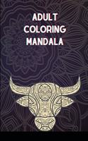 Adult Coloring Mandala