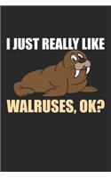 I just really Like Walruses ok?