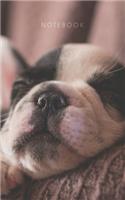 Sleepy Puppy - Lined Notebook: Writing Journal