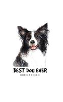 Best Dog Ever Border Collie