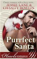 Purrfect Santa