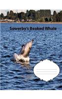 Sowerby's Beaked Whale College Ruled Line Paper Composition Book: Whale Fan, College notebook, Teen journal, Middle School Students, Adult notebooks