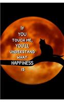 If You Touch Me, You'll Understand What Happiness Is
