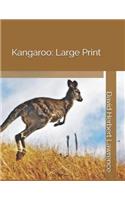 Kangaroo: Large Print