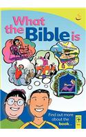 What the Bible Is