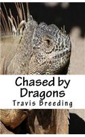 Chased by Dragons