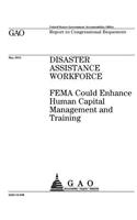 Disaster assistance workforce