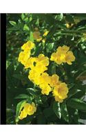 Cats Claw Vine Notebook, Wide Ruled_100 Sheets-200 Pages_9.75 X 7.5