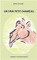 Un Vrai Petit Chameau