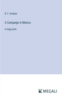 Campaign in Mexico