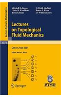 Lectures on Topological Fluid Mechanics