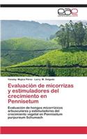 Evaluación de micorrizas y estimuladores del crecimiento en Pennisetum