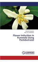 Flower Induction in Pummelo Using Paclobutrazol