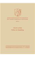 Probleme Der Gebirgsbildung