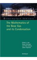 Mathematics of the Bose Gas and Its Condensation