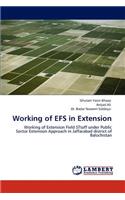 Working of Efs in Extension