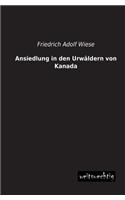 Ansiedlung in Den Urwaldern Von Kanada