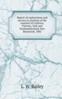Report of explorations and surveys in portions of the counties of Carleton, Victoria, York and Northumberland, New Brunswick, 1885