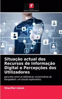 Situação actual dos Recursos de Informação Digital e Percepções dos Utilizadores