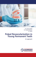 Pulpal Revascularization in Young Permanent Teeth