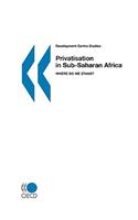 Development Centre Studies Privatisation in Sub-Saharan Africa