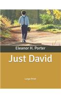 Just David: Large Print