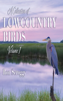 Collection of Lowcountry Birds