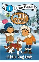 Molly of Denali: Little Dog Lost