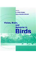Vision, Brain, and Behavior in Birds