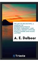 The Art of Projecting: A Manual of Experimentation in Physics, Chemistry ...