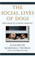 Social Lives of Dogs