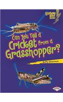 Can You Tell a Cricket from a Grasshopper?