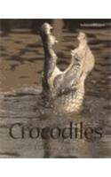 Crocodiles