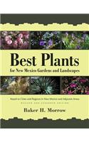 Best Plants for New Mexico Gardens and Landscapes