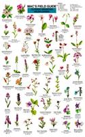 Mac's Field Guides: Rocky Mountain Wildflowers