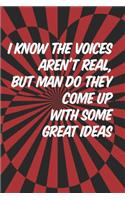 I Know The Voices Aren't Real, But Man Do They Come Up With Some Great Ideas