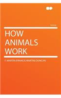 How Animals Work