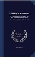 Pomologia Britannica