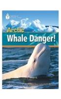 Arctic Whale Danger!