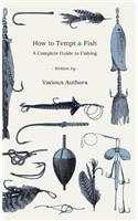 How to Tempt a Fish - A Complete Guide to Fishing