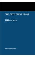 Developing Heart