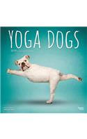 Yoga Dogs 2019 Square