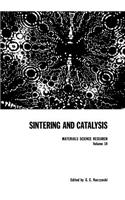Sintering and Catalysis