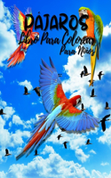 Pajaros Libro Para Colorear para Niños