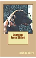 Learning From Shiloh