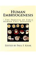 Human Embryogenesis