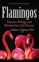 Flamingos