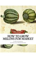 How to Grow Melons For Market