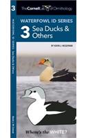 Waterfowl Id Series: 3 Sea Ducks & Others