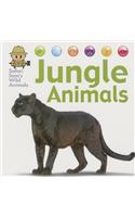 Jungle Animals